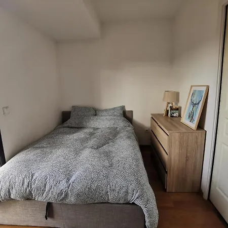 Daire T1bis Moderne, Lumineux, Belle-vue, Patte D'oie, Parking Toulouse