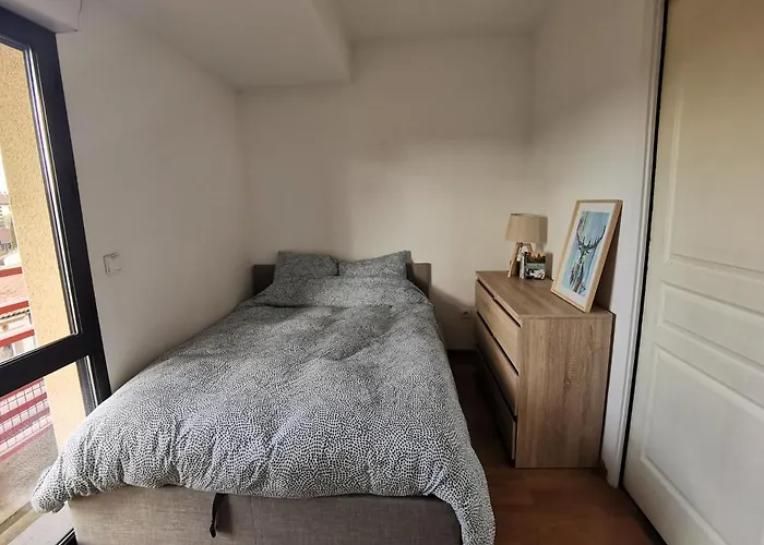 Apartment T1bis Moderne, Lumineux, Belle-vue, Patte D'oie, Parking Toulouse